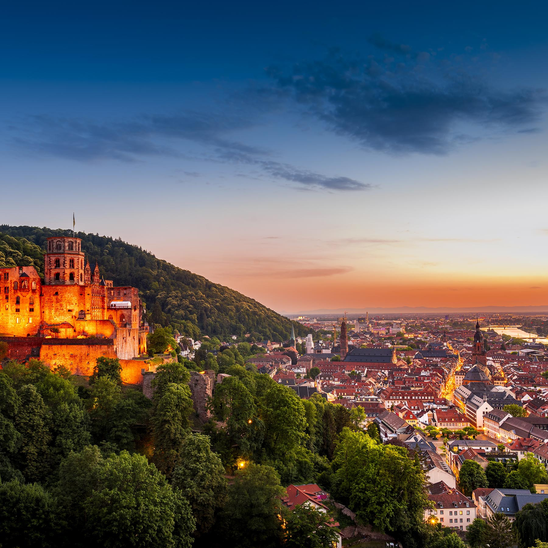Schloss Heidelberg